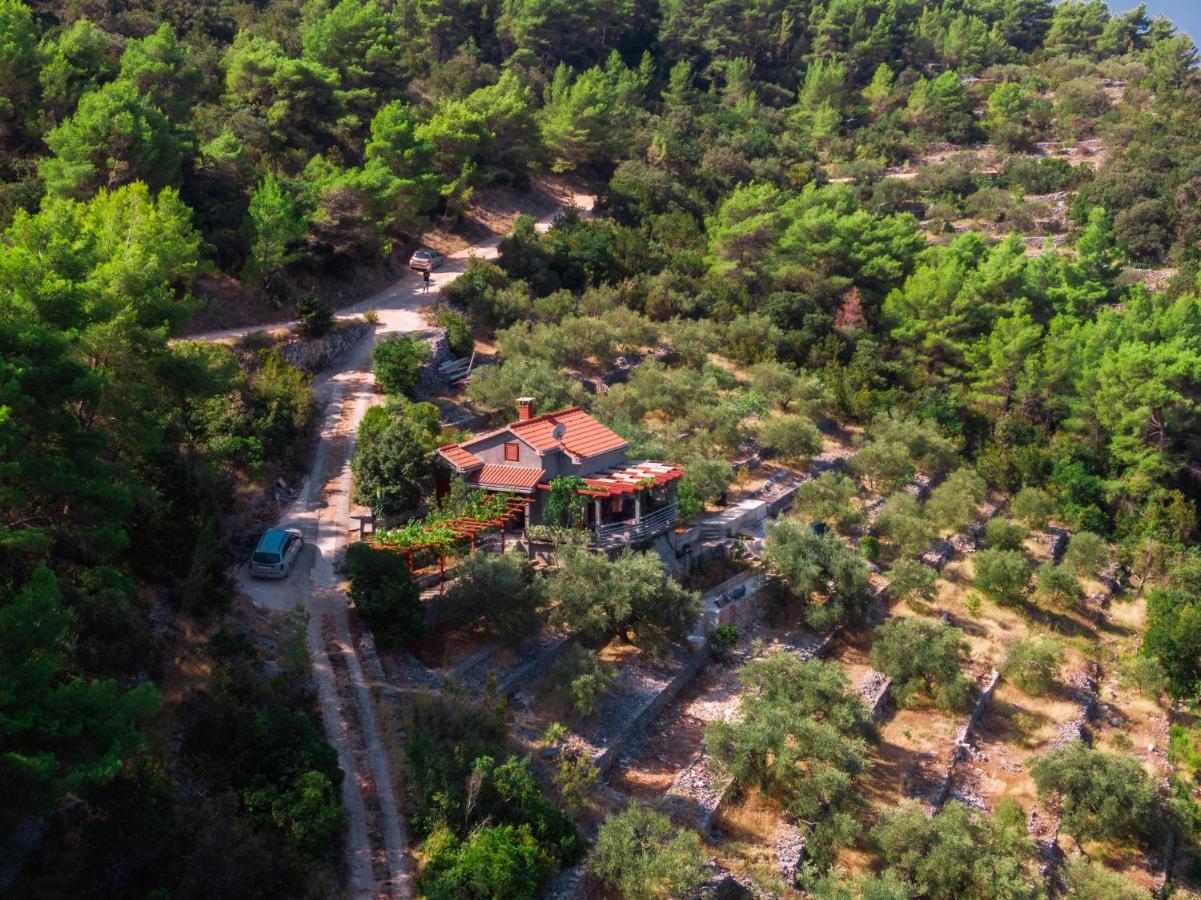 Holiday Home Maslinova เวลาลูกา ภายนอก รูปภาพ